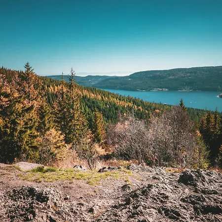 Cozy Black Forest Tiny House Close To シュルッフゼー