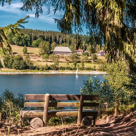 Holiday home Cozy Black Forest Tiny House Close To Schluchsee